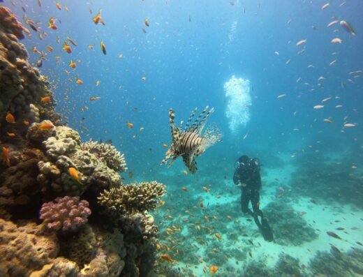 Diamond Red Sea – Diving in Hurghada